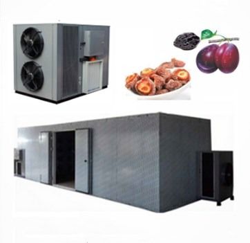 qualidade  High Efficiency Commercial Food Dehydrator Use Apricot Fruit Heat Pump Drying Machine fábrica